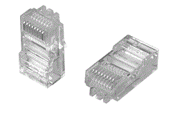 Ficha macho RJ45 CAT5