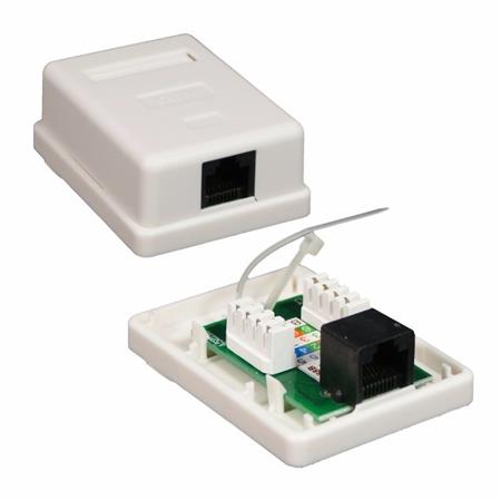 Roseta 1 boca RJ45